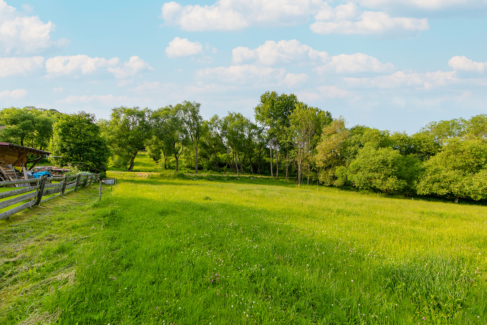 Prodej, pozemek určený k výstavbě, 975 m², Mýto, Hořice na Šumavě
