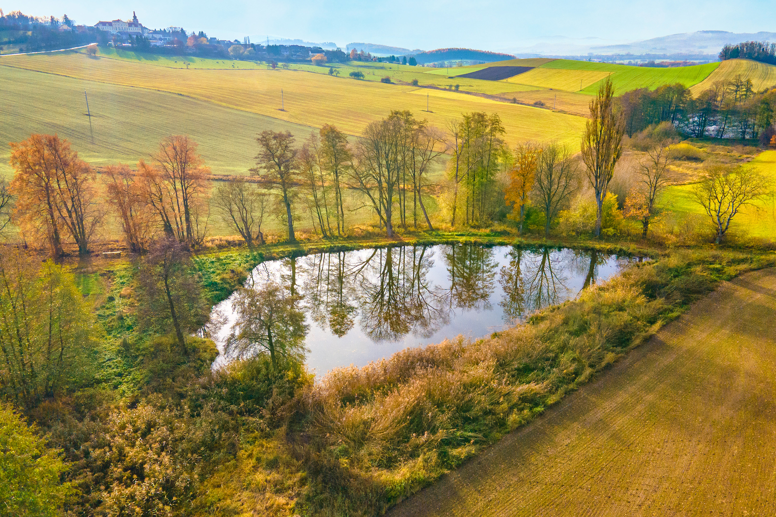 Prodej, rybník, 2 713 m², Týnec, okres Klatovy